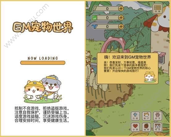 GM宠物社区游戏图4