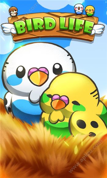 小鸟生活游戏最新安卓版免费下载（Bird Life）  v1.6.7图3