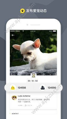 斗宠app图2