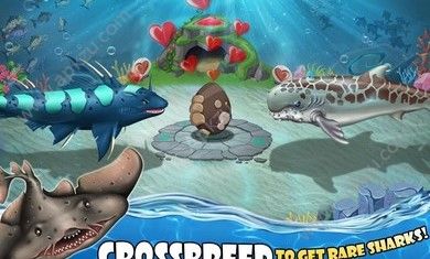 鲨鱼世界9.94钻石安卓版下载  v9.94图4