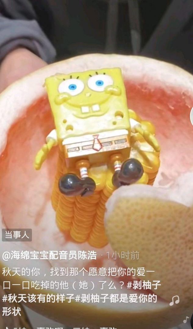 抖音秋天的第一个柚子文案图片素材图1