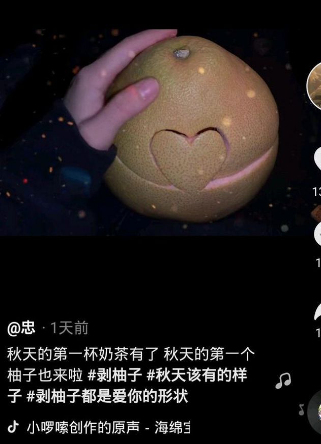 秋天的第一个柚子官方版图3