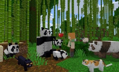 我的世界1.16.100.04国际基岩版下载  v2.1.10.164788图2