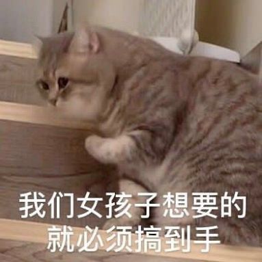 我夜里总是失眠表情包图3