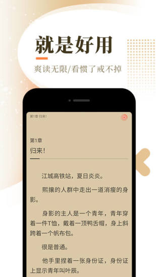 错付小说app图4