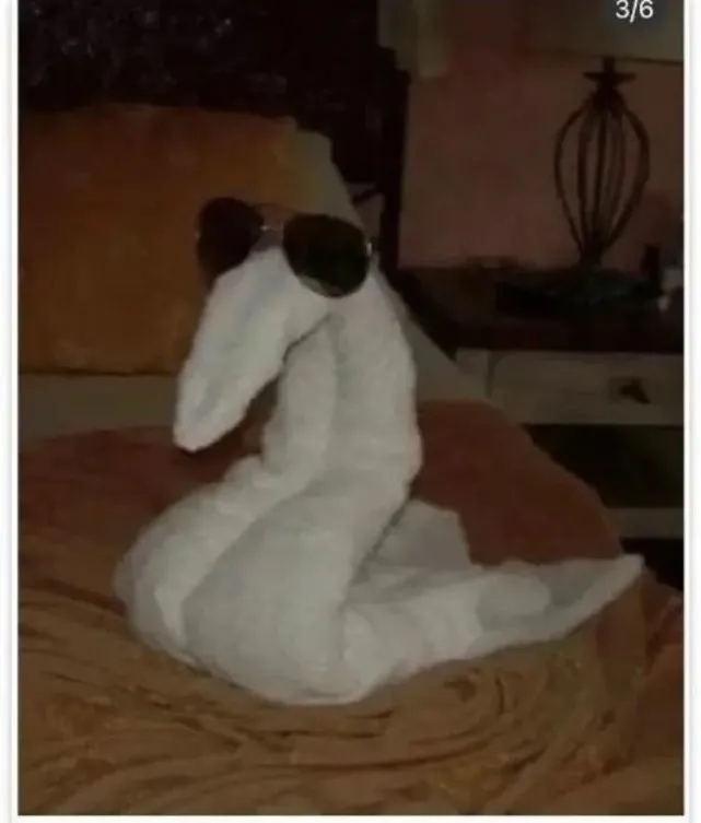 对不起停车没有看到你的碗表情包图4