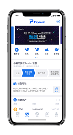 v支付paydex app图2