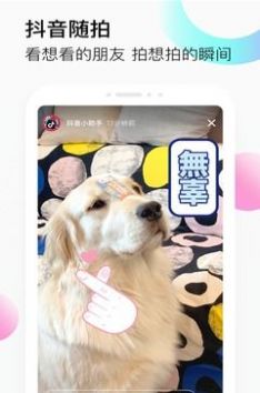 定力大挑战游戏图4