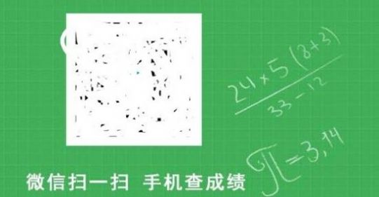 2020输入考号查成绩的网站图3