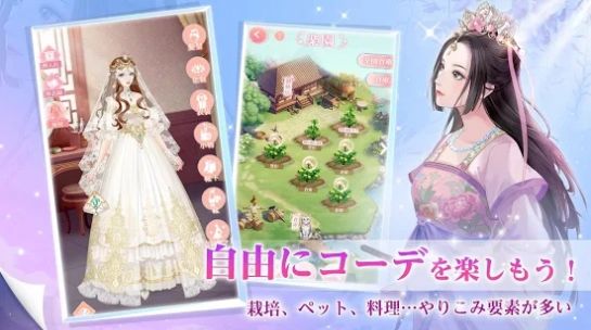 宫廷的遥映中文版插图(2) 宫廷的遥映游戏中文版 v10.10.13图1